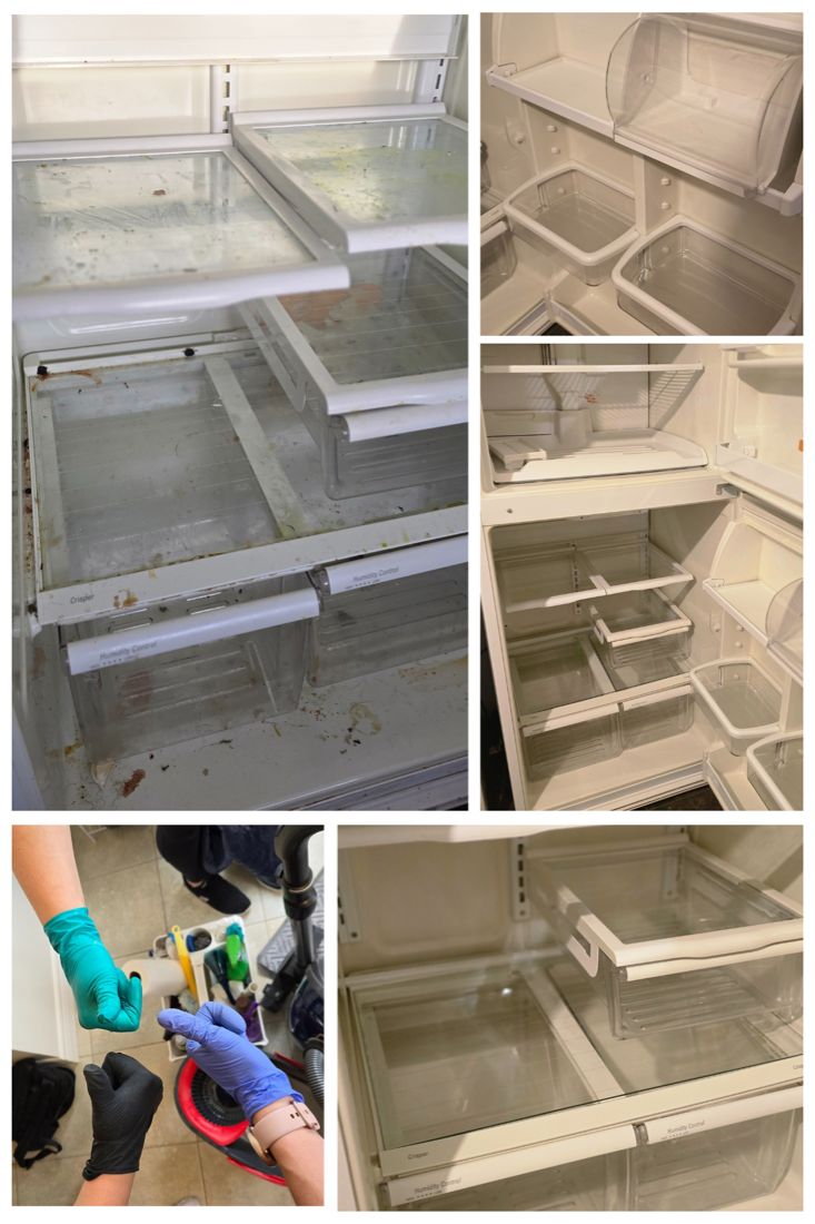 Before and after cleaning by Art of CleaNest in Edmonton — Refrigerator, inside and out