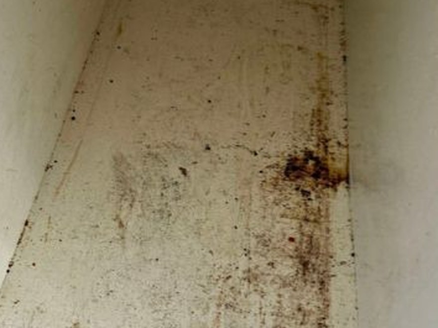 Kitchen cabinet before — Art of CleaNest Edmonton