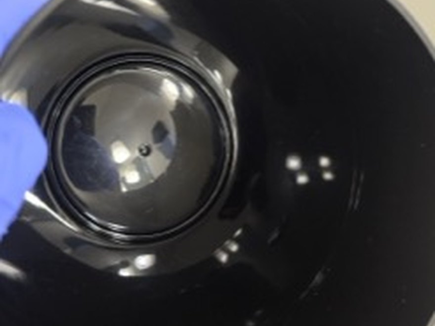 Light fixture after — Art of CleaNest Edmonton